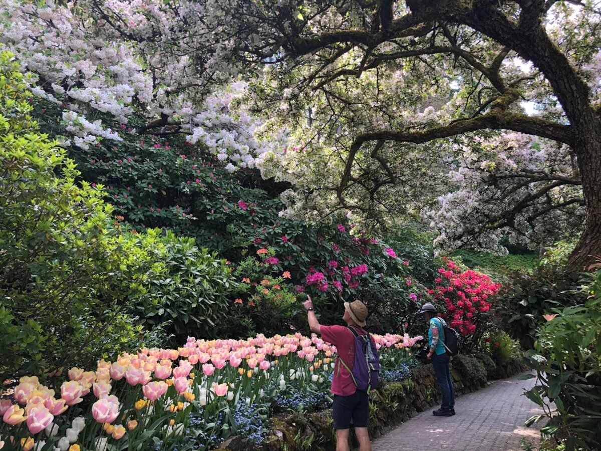Buchart Gardens 
