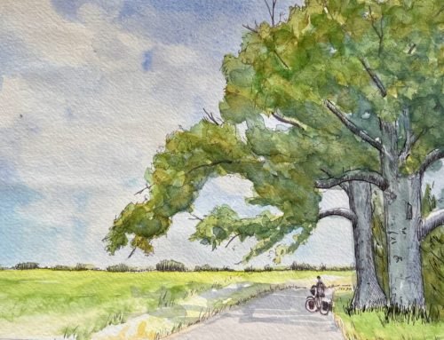 Summary of Cycling in Cuba