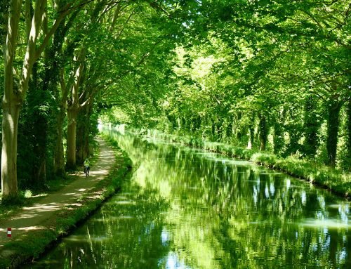 Walking and Riding the Canal